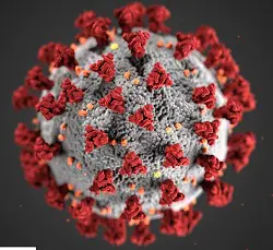 corona-virus-in-chandpur.jpg